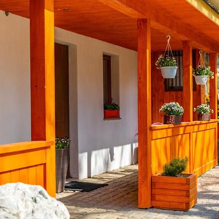 Apartament Lesny Zakopane Eksteriør billede