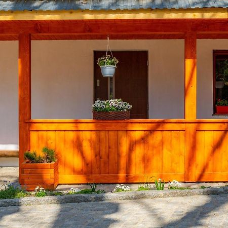 Apartament Lesny Zakopane Eksteriør billede