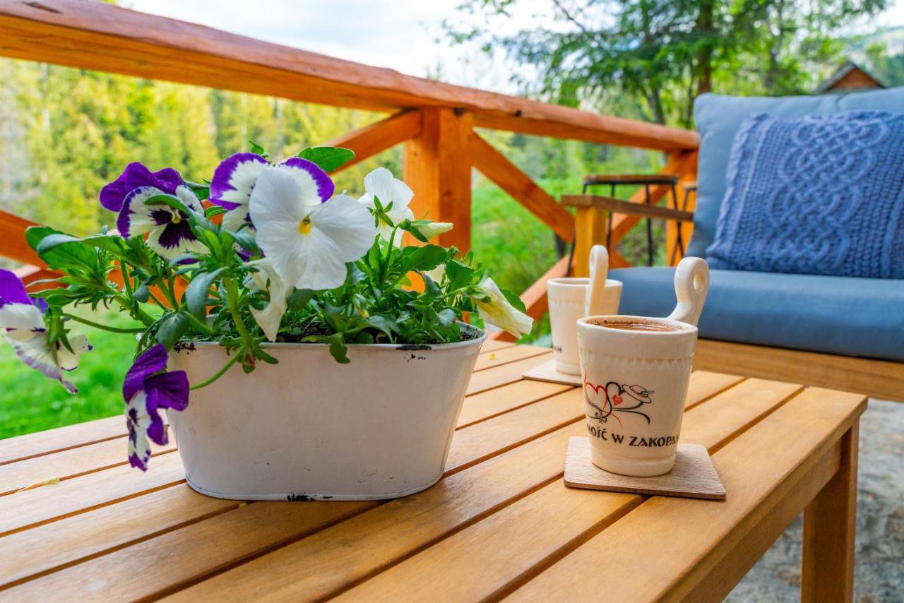 Apartament Lesny Zakopane Eksteriør billede