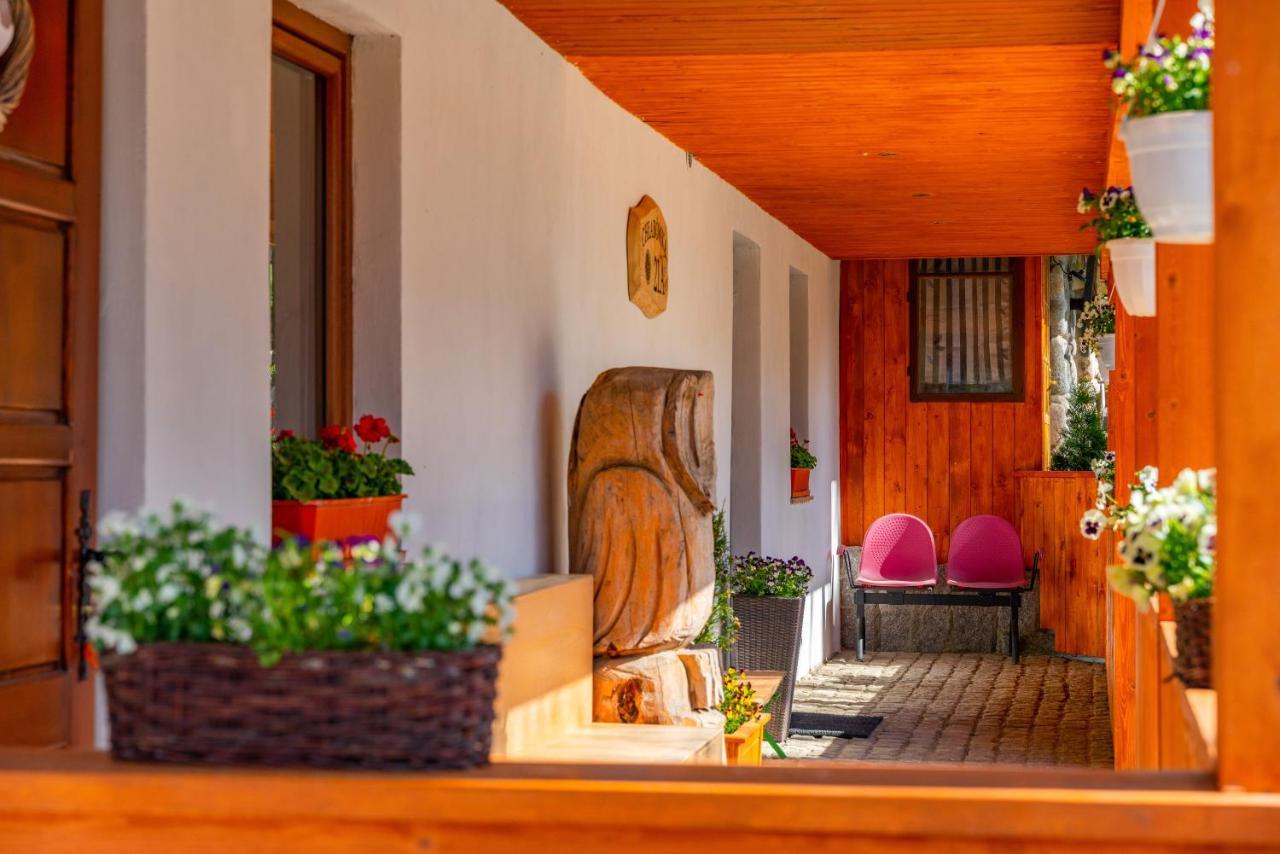 Apartament Lesny Zakopane Eksteriør billede
